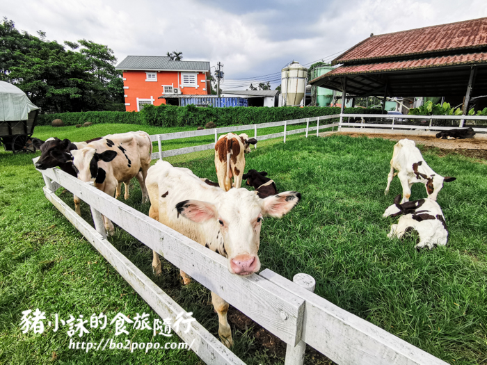 Fw: [遊記] 中埔》綠盈牧場。讓小孩盡情奔跑的綠地